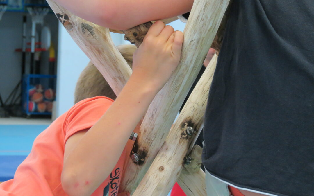 Voix d&rsquo;enfants sur la forêt